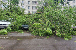 Последствия сильного дождя в Москве, 20 июня 2024 года