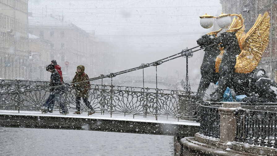 В Санкт-Петербурге и Ленобласти появился временный снежный покров
