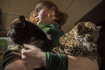 Специалист отдела хищных млекопитающих Ленинградского зоопарка Ада Панфилова с полуторамесячными детенышами ягуара Кими и Инкой 