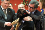 Передача щенка Добрыни французской полиции в посольстве Франции