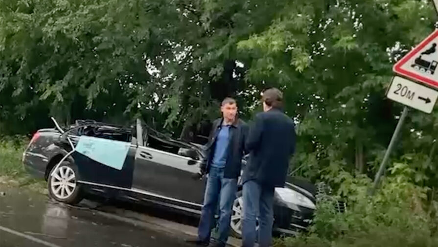 В Комсомольске-на-Амуре дерево упало на автомобиль, в котором ехала семья
