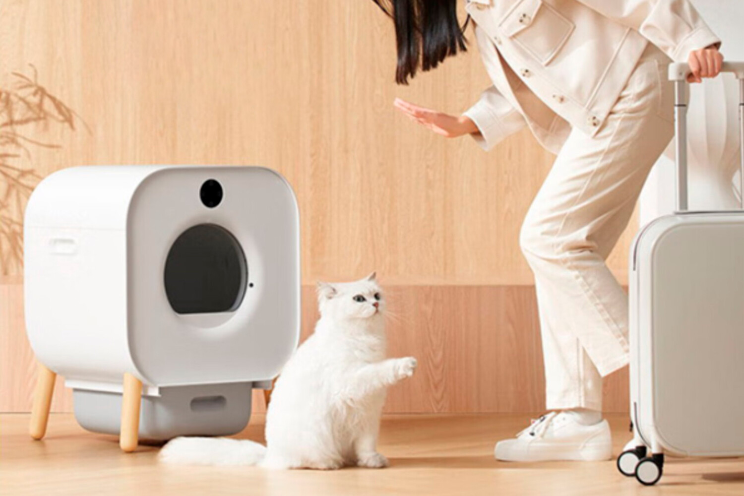 Xiaomi представила умный туалет для кошек, который можно чистить пару раз в  месяц - Газета.Ru | Новости