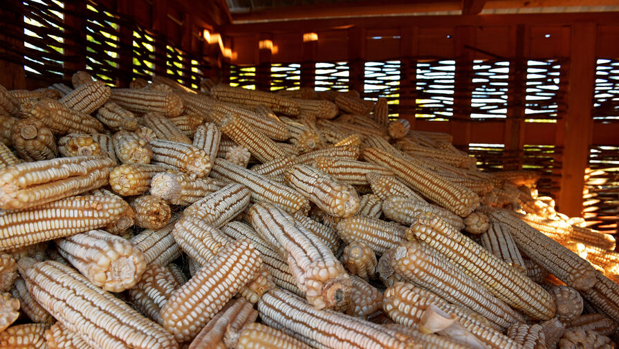 В Руанде 11 человек погибли при обрушении навеса для высушивания кукурузы