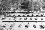 Площадка для игры в настольный теннис в Центральном парке культуры и отдыха имени М.Горького, 1964 год
