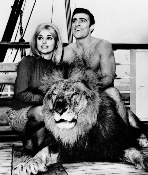Майк Генри и Шэрон Тейт со львом по&nbsp;кличке Майор, 1965&nbsp;год