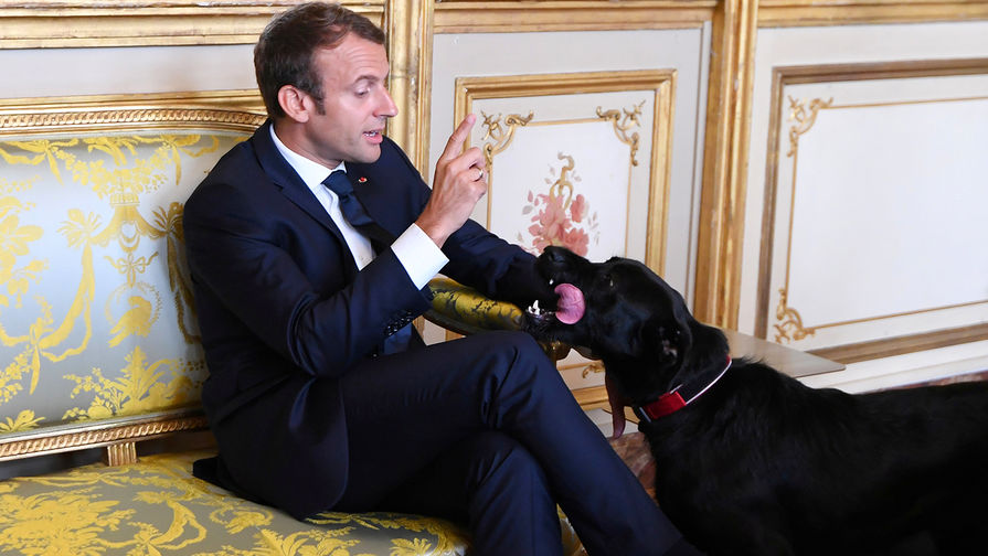 Эммануэль Макрон со своей собакой, 2017 год