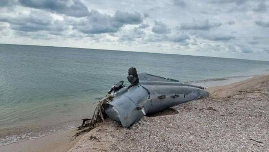 Рогов сообщил об обнаружении предполагаемых частей Точки-У на побережье в Бердянске