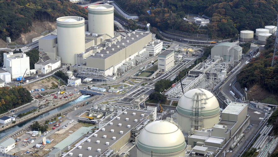 Власти ФРГ считают отказ от атомной энергетики серьезной стратегической ошибкой