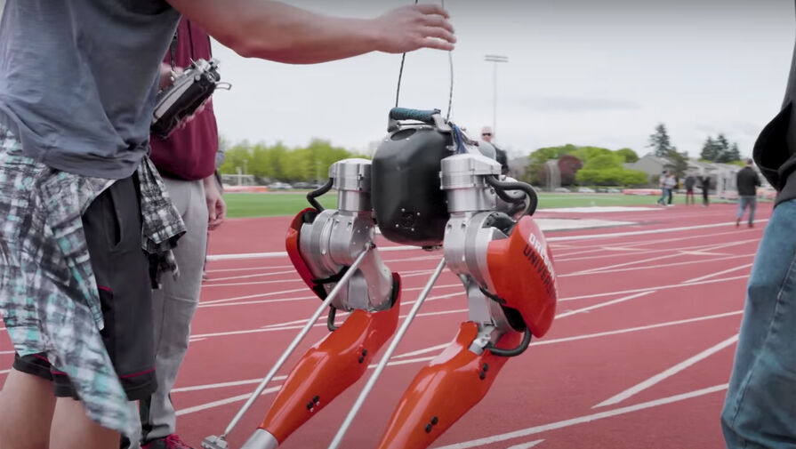 Двуногий робот Cassie стал мировым рекордсменом в забеге на 100 метров