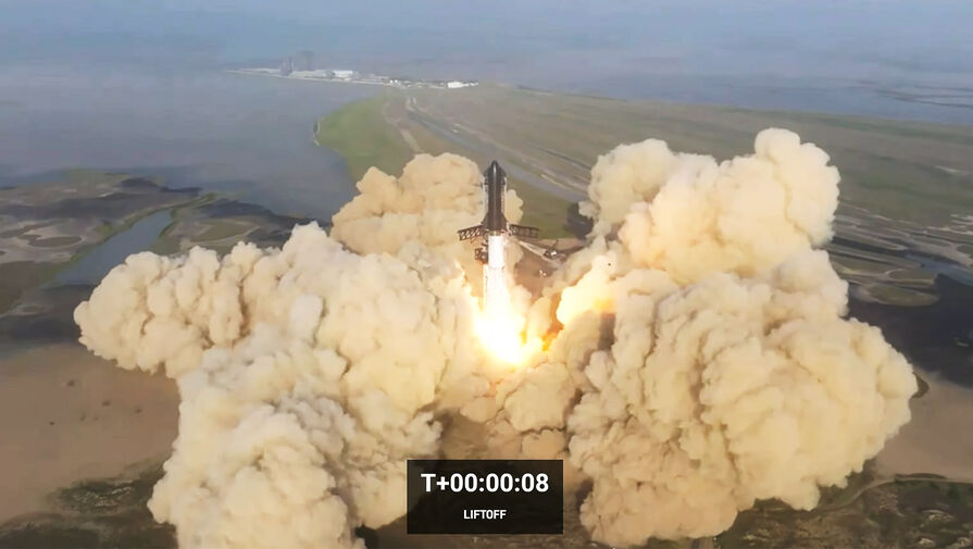 Экологи заявили, что при запуске ракеты Starship ни одно животное не пострадало