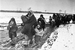 «В родное село». Женщины с детьми возвращаются домой по разбитой дороге, 1943 год