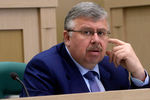 Андрей Бельянинов во время «правительственного часа» на заседании Совета Федерации РФ, 2015 год