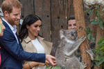 Принц Гарри Уэльский и герцогиня Сассекская Маркл с коалой Руби в зоопарке Сиднея во время визита в Австралию, 16 октября 2018 года