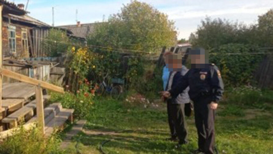 Россиянина обвинили в убийстве мужчины, который выругался матом в его адрес