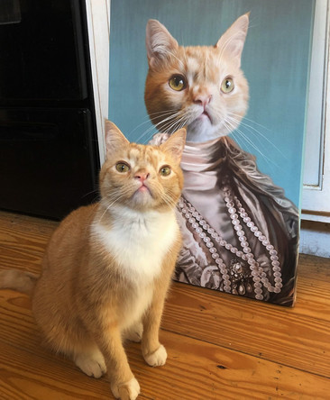 Кот Смуш