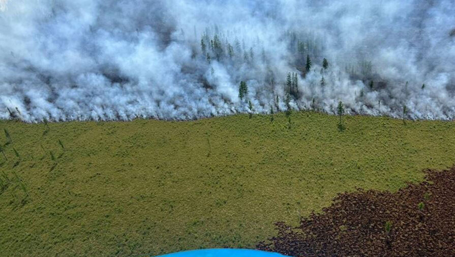 Названа причина лесных пожаров в Бурятии
