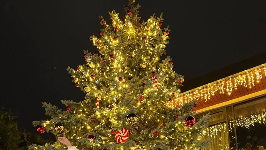 Певица Ханна потратила на новогодний декор более 3 млн рублей