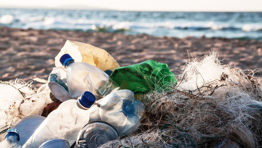 Экологи предупредили об опасности отравления морепродуктами из-за загрязнения океана пластиком