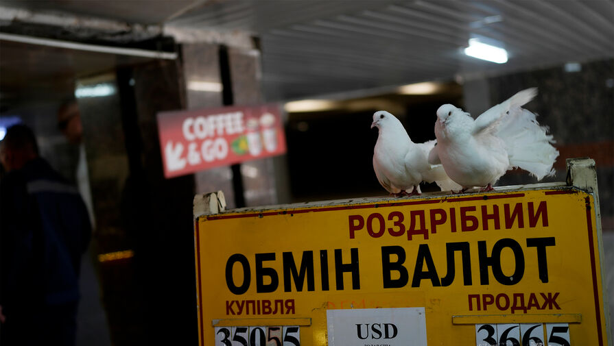 Нацбанк Украины резко понизил курс гривны. Что это значит