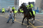 В Англии конная полиция часто используется во время футбольных матчей и стадионных концертов