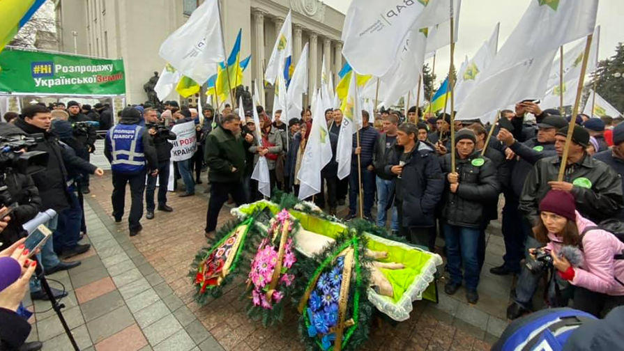 Свинья в гробу у здания Верховной рады Украины, 13 ноября 2019 года