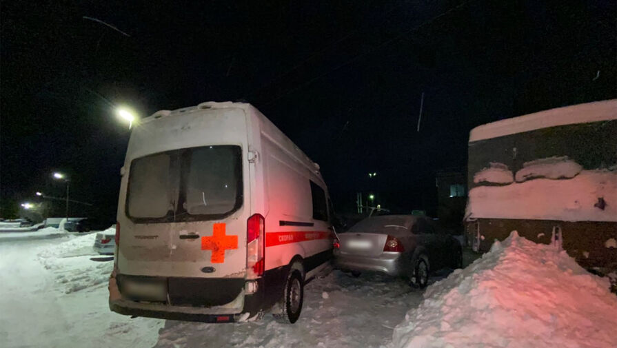 В Мурманской области мужчина с собакой угнал скорую на глазах у врачей