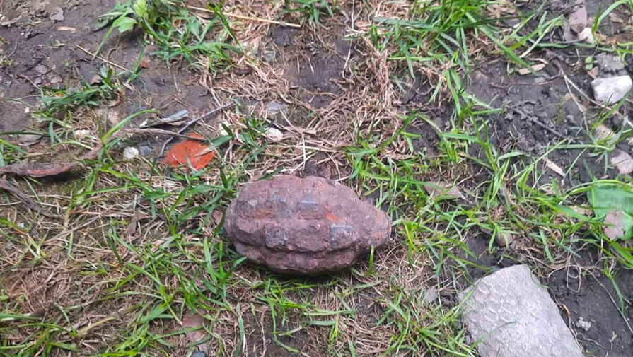Ребенок нашел боевую гранату возле частного дома в Подмосковье