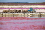 Мотовоз с вагонетками транспортирует розовую соль на берег озера Сасык-Сиваш в Крыму, 19 сентября 2023 года