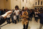 4 октября. Жители Сан Пауло приносят своих питомцев в церковь на благословение в день Франциска Азисского, покровителя животных.