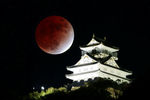 Частичное лунное затмение на фоне замка Гифу, Япония, 19 ноября 2021 года