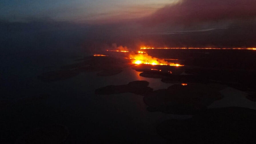 В Астраханском заповеднике произошел пожар на площади 3 тысячи га