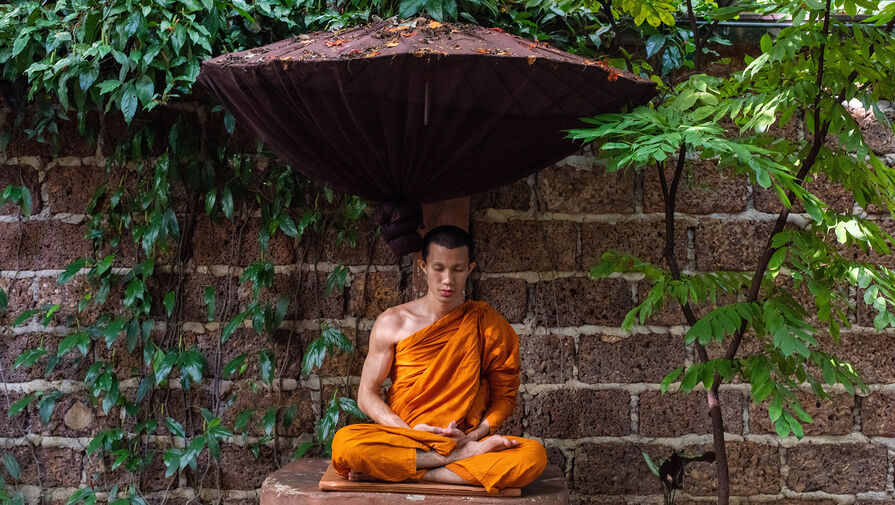 PLOS ONE: соблюдение заповедей буддизма помогает бороться с депрессией
