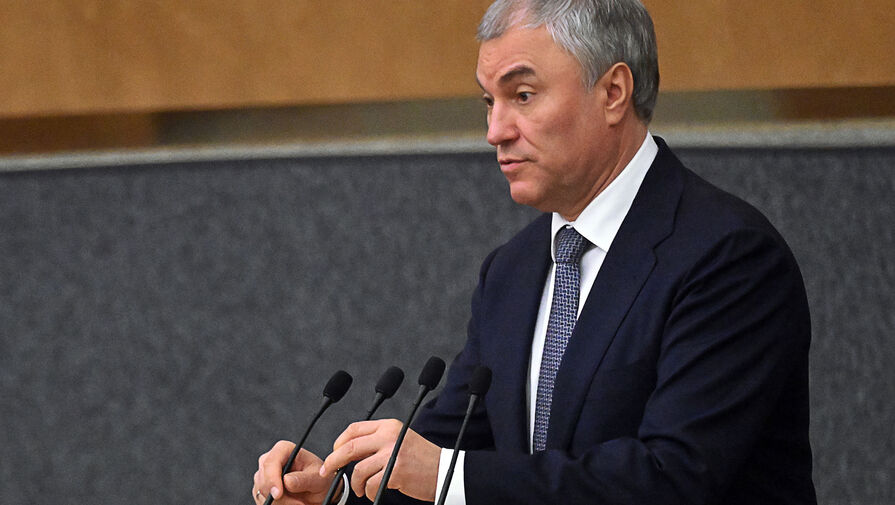 Председатель Госдумы Володин раскритиковал действующий лимит на легионеров в РПЛ