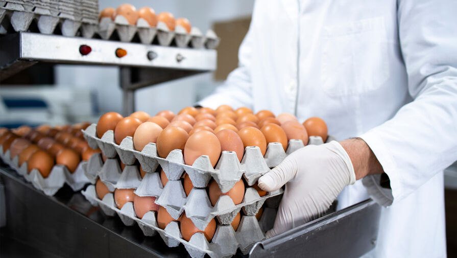 ФАС проверит птицефабрики Костромской области из-за подорожания яиц