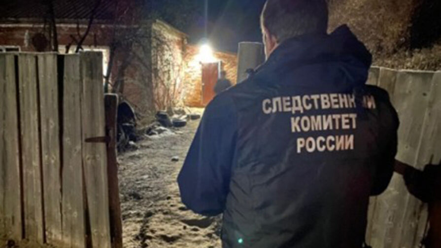 В Татарстане будут судить бизнесмена по делу о гибели 8-летней девочки