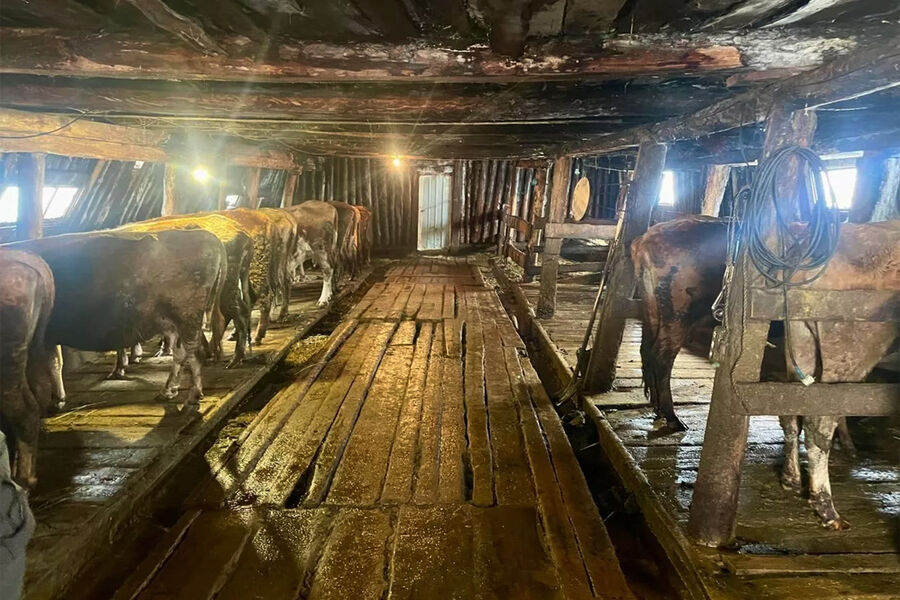 «Все подгонял: «Быстрее, быстрее». Фермер из Якутии держал рабов, один из них убежал 