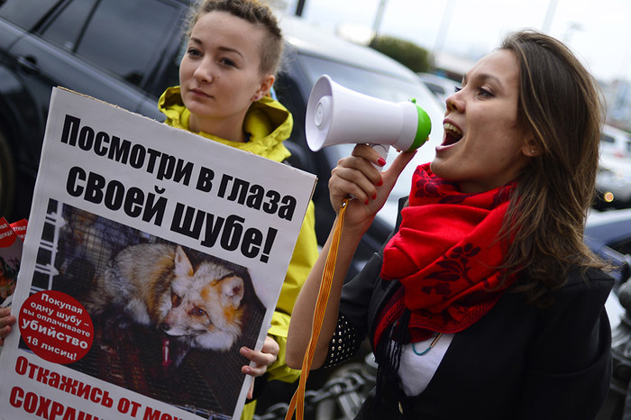 Участница всероссийской акции &laquo;Животные &mdash; не одежда&raquo; во Владивостоке