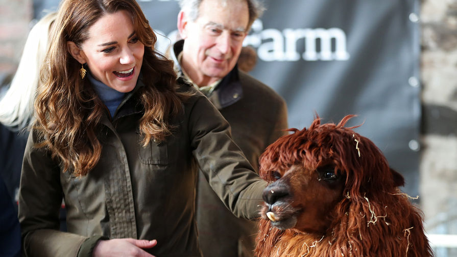 Герцогиня Кембриджская Кейт Миддлтон во время визита на&nbsp;ферму Арк-Оупен в&nbsp;Ньютаунардс в&nbsp;Северной Ирландии, 12 февраля 2020 года
