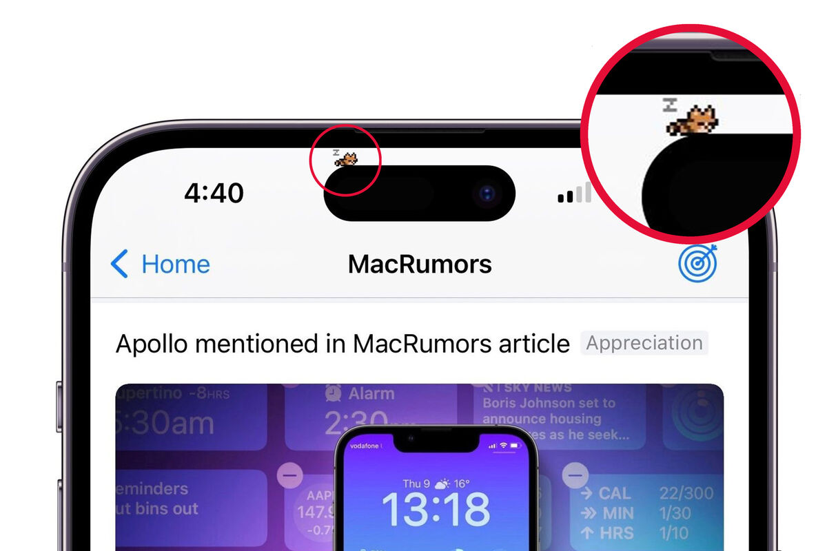 Разработчик превратил новый вырез в iPhone 14 в тамагочи, «поселив» на нем  кота - Газета.Ru | Новости