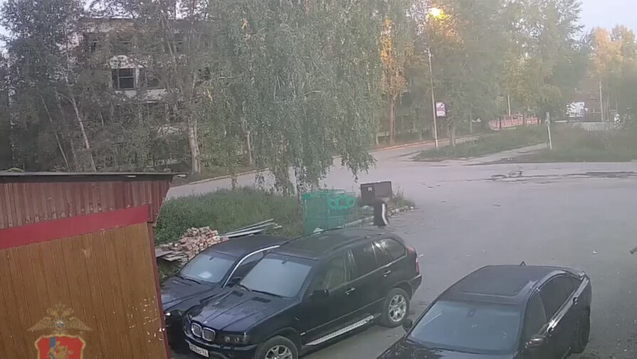 В Ачинске пьяный мужчина пытался сжечь три автомобиля BMW