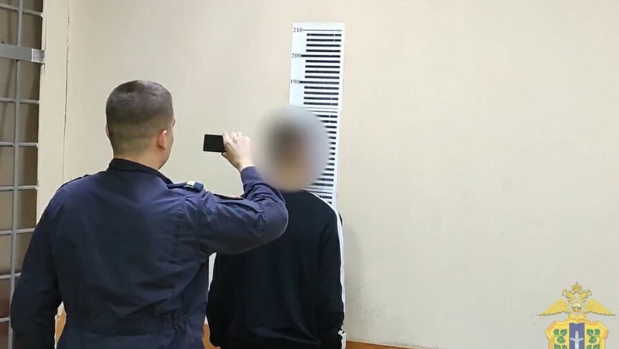 Липецких подростков, избивавших прохожих на камеру, задержали полицейские