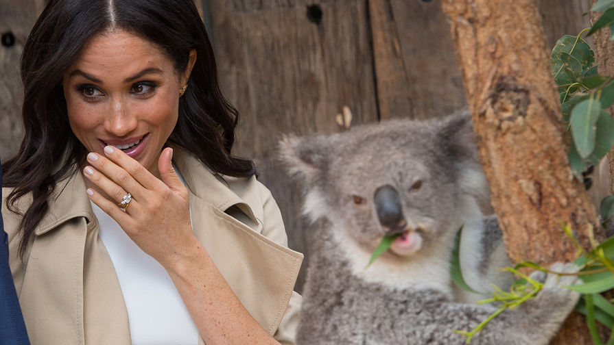 Герцогиня Сассекская Маркл с коалой Руби в зоопарке Сиднея во время визита в Австралию, 16 октября 2018 года