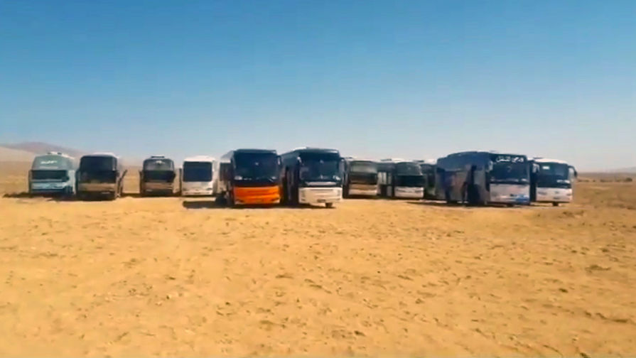 Автобусы для эвакуации боевиков ИГ (террористическая организация, запрещенная в России) в горном регионе Каламун на границе Сирии и Ливана. Скриншот из видео, опубликованного 28 августа 2017 года