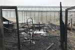 Последствия пожара на территории тепличного комплекса в деревне Нестерово в Московской области, 7 января 2020 года