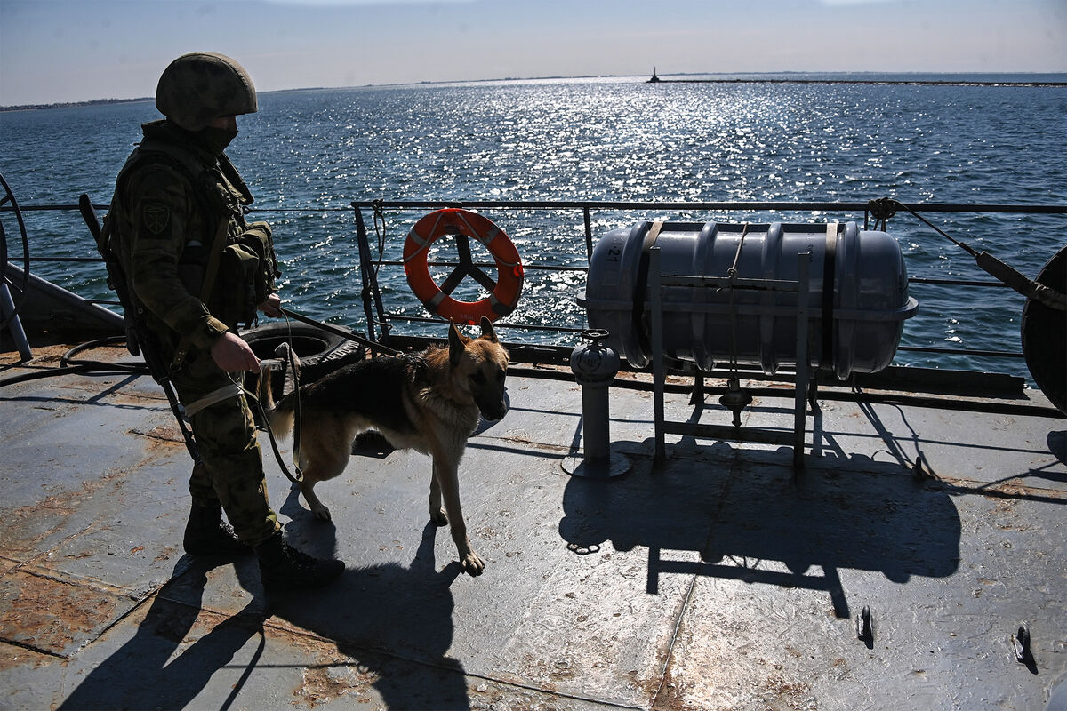Российский военнослужащий со служебной собакой на корабле «Корец» Военно-морских сил Украины, оставленном в порту Бердянска, 2022 год