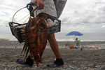 Продавец копченой рыбы на пляже в Адлере