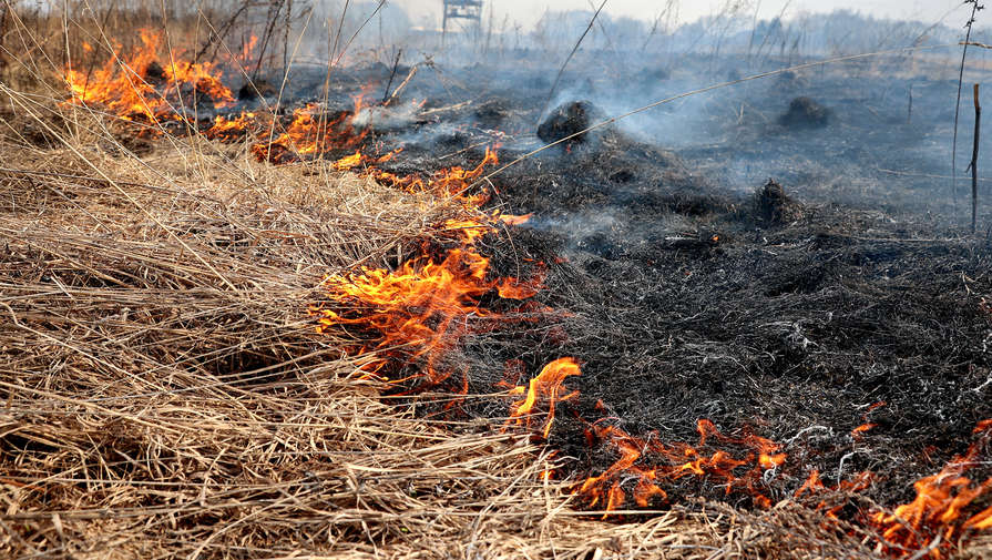 В Забайкалье тушат возгорание сухой травы, пожар локализован на площади 60 тыс. га