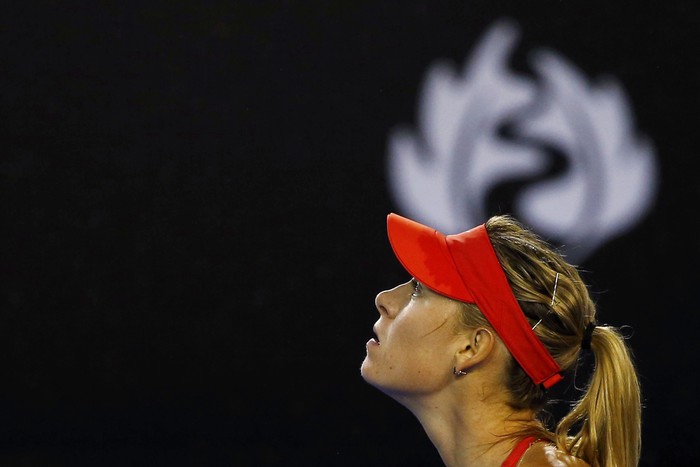Глядя на вершину рейтинга WTA, Мария Шарапова видит только Серену Уильямс