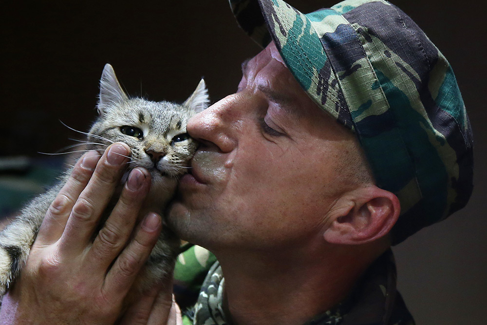 Боец батальона ДНР «Оплот» с котенком