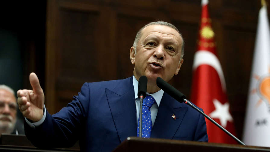 Эрдоган заявил, что новая операция Турции может охватить Кобани, Манбидж и Телль-Рифаат